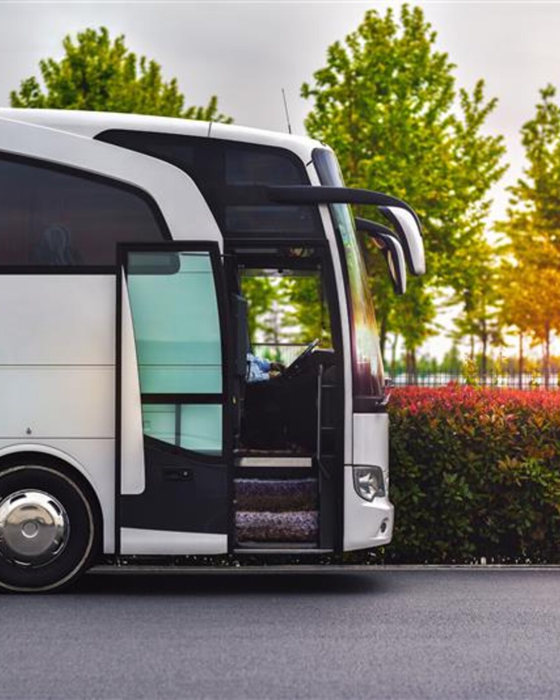 Vicenzaoro Luxuy Hub shuttle booking 