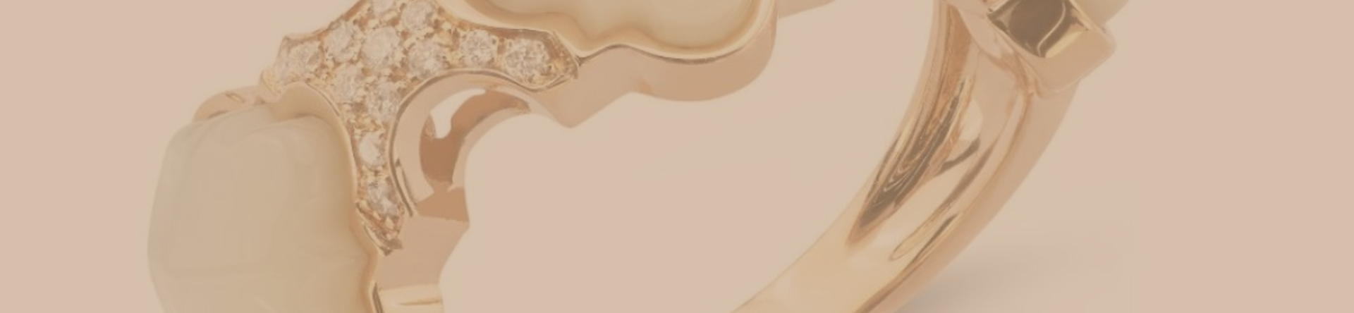 Elenère: a new brand within the Leonori legacy
