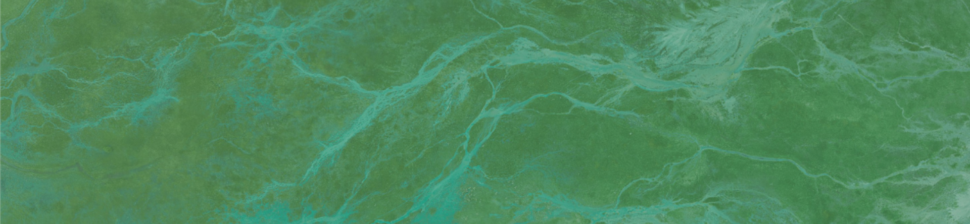 Il Crisoprasio: Gemma di Eleganza e Mistero