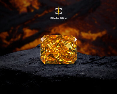 Il tesoro della natura