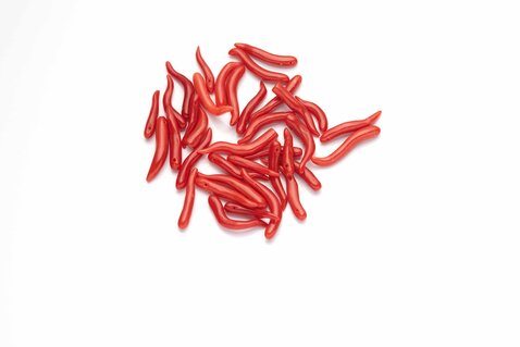Natural Mediterranean Red Coral Horns