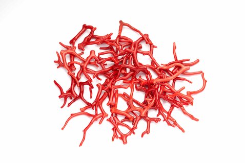 Natural Mediterranean Red Coral Branches