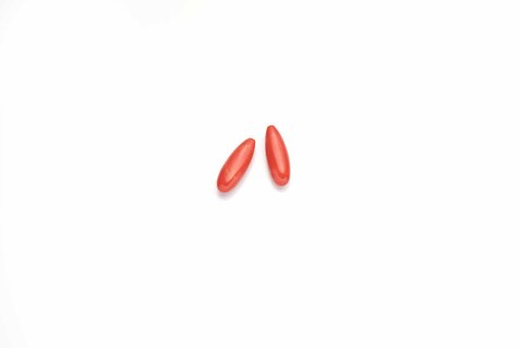 Natural Mediterranean Red Coral Drops