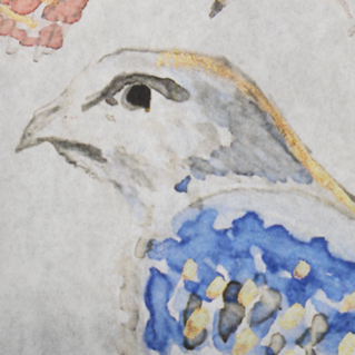 Custom Printed Tissue