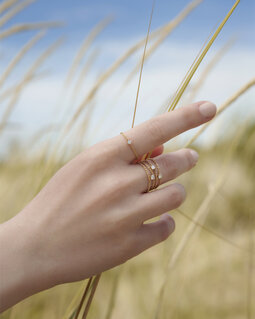 Anello Soft Multi Solitaire Y