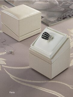 Pavia Series