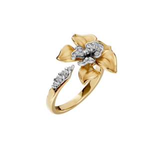RING ORQUIDEAS
