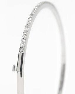DAPHNE, BANGLE